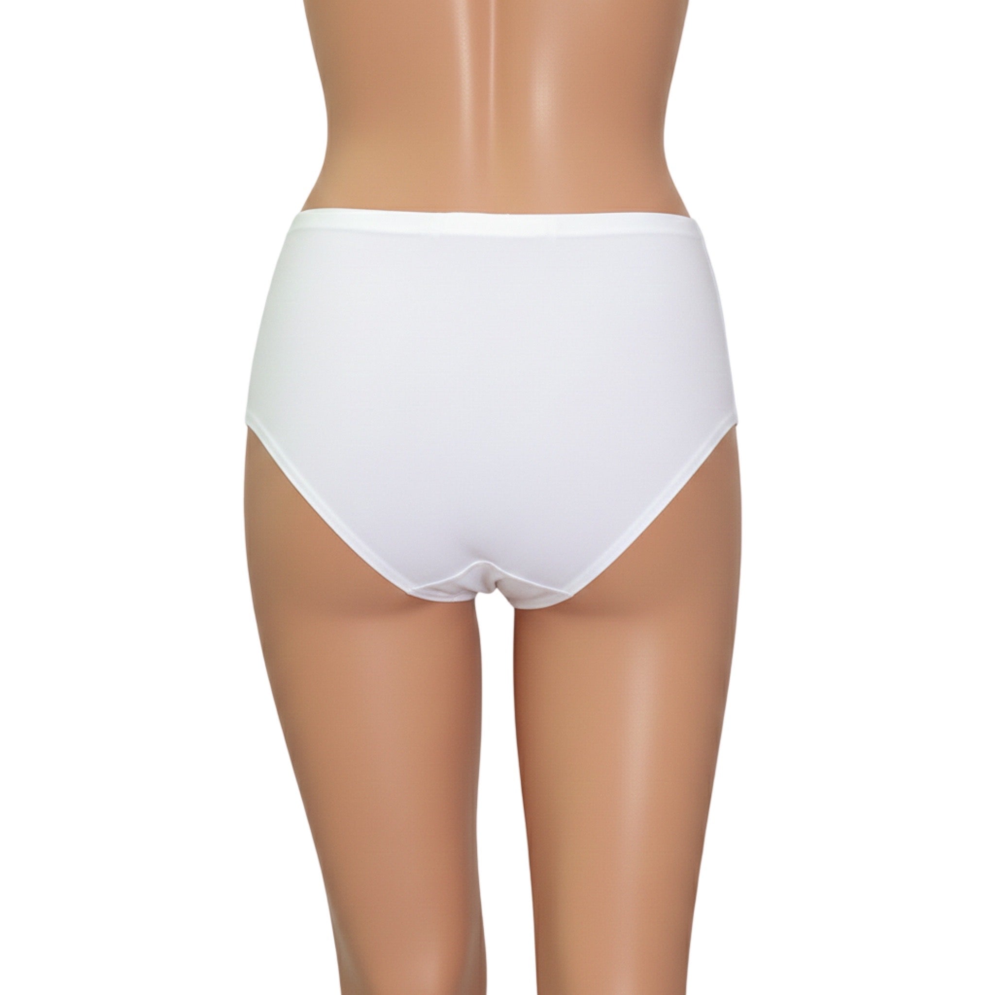 Full Brief Seamless 5248